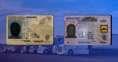 Non-domicile indication on CDL and CLP